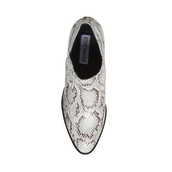 Botki Damskie Steve Madden Barnett Snake Czarne Białe Wąż | SM-310MU