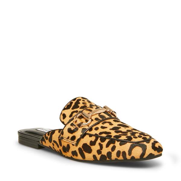 Buty Płaskie Damskie Steve Madden Rylie Leopard Panterka | SM-729QY