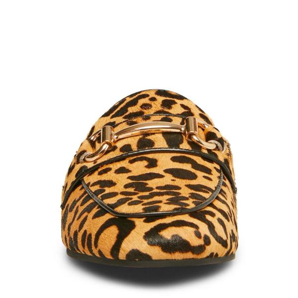 Buty Płaskie Damskie Steve Madden Rylie Leopard Panterka | SM-729QY