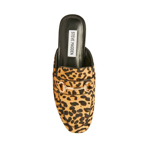 Buty Płaskie Damskie Steve Madden Rylie Leopard Panterka | SM-729QY