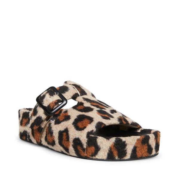 Kapcie Damskie Steve Madden Rizzle Leopard Panterka | SM-670AT