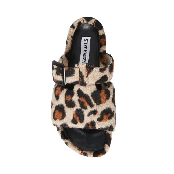 Kapcie Damskie Steve Madden Rizzle Leopard Panterka | SM-670AT