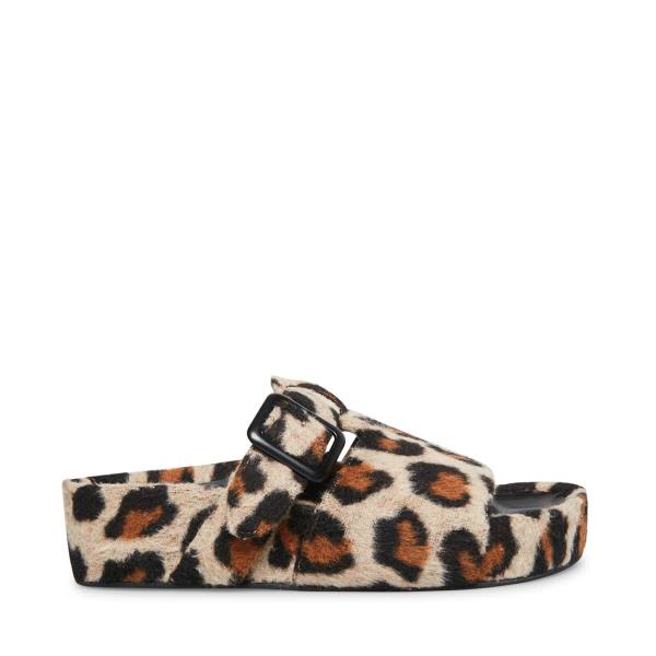 Kapcie Damskie Steve Madden Rizzle Leopard Panterka | SM-670AT