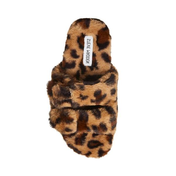 Kapcie Damskie Steve Madden Staycation Leopard Panterka | SM-534UW