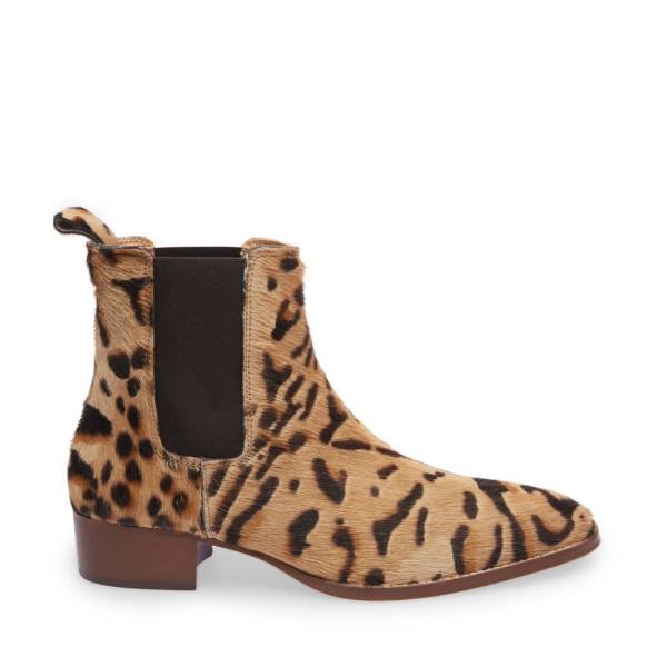 Kozaki Męskie Steve Madden Dex-p Leopard Panterka | SM-938CH