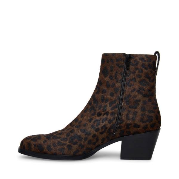 Kozaki Męskie Steve Madden Richie Leopard Panterka | SM-794HO