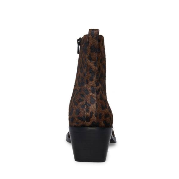 Kozaki Męskie Steve Madden Richie Leopard Panterka | SM-794HO