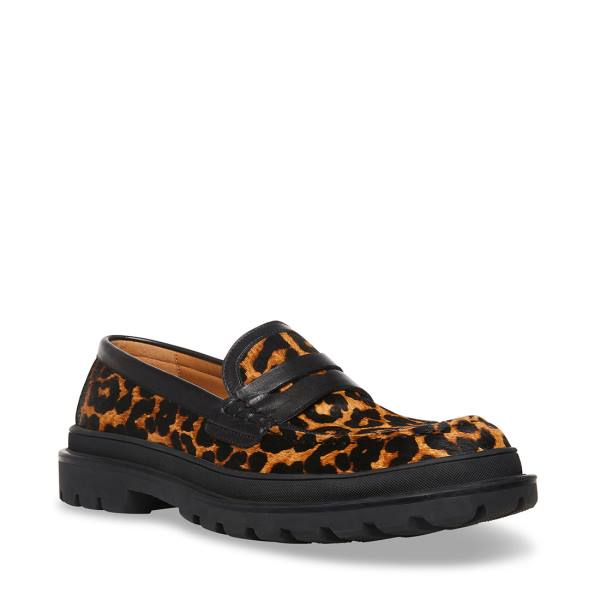 Loafersy Męskie Steve Madden Charles Leopard Panterka | SM-901JK