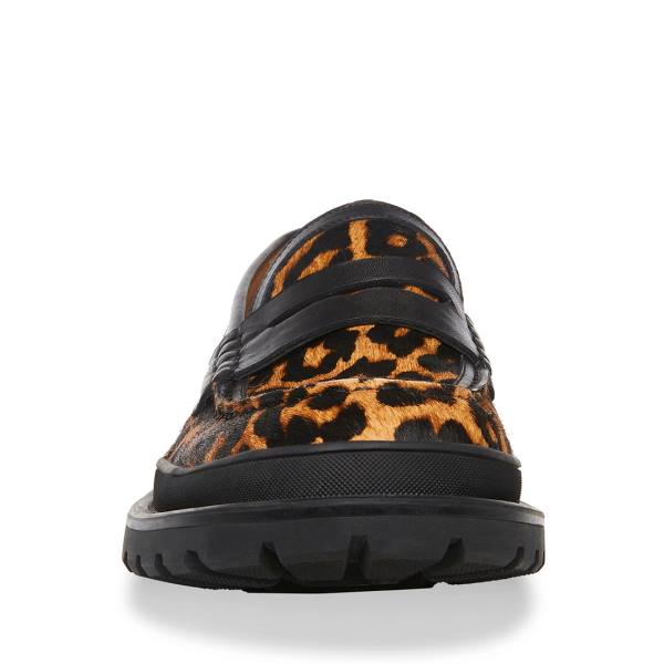 Loafersy Męskie Steve Madden Charles Leopard Panterka | SM-901JK