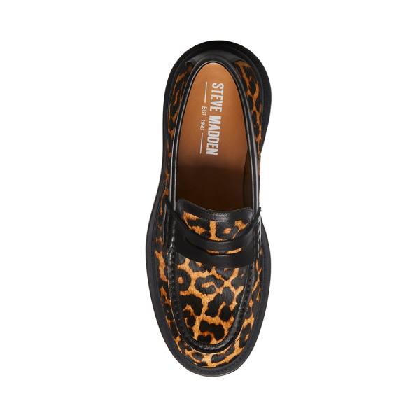 Loafersy Męskie Steve Madden Charles Leopard Panterka | SM-901JK