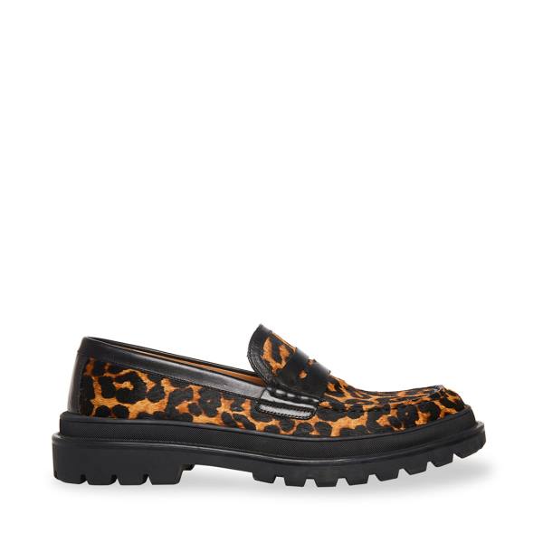 Loafersy Męskie Steve Madden Charles Leopard Panterka | SM-901JK