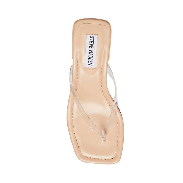 Sandały Damskie Steve Madden Claudette Clear | SM-349TS