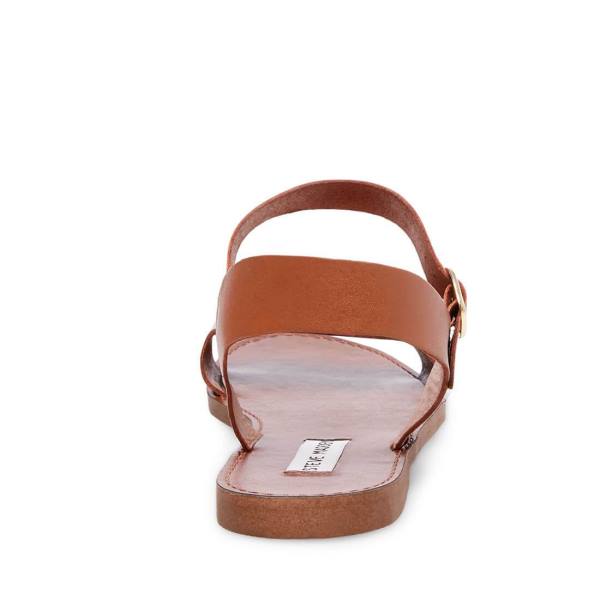 Sandały Damskie Steve Madden Donddi Tan Skórzane Brązowe | SM-586KN