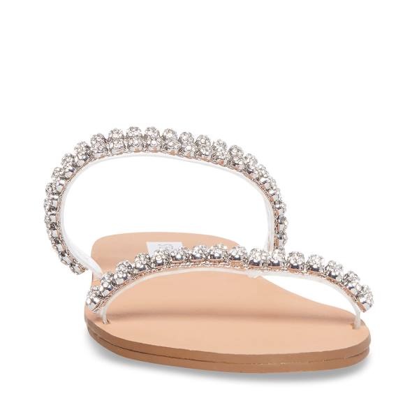 Sandały Damskie Steve Madden Felicia Clear | SM-695EQ