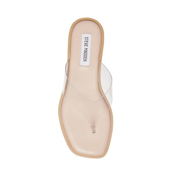 Sandały Damskie Steve Madden Norie Clear | SM-184KQ