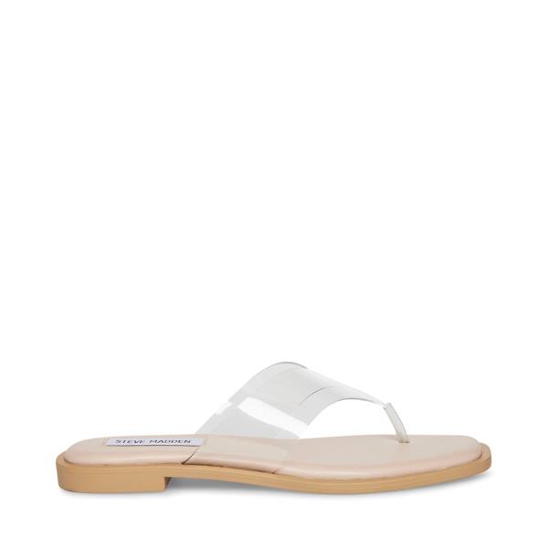 Sandały Damskie Steve Madden Norie Clear | SM-184KQ