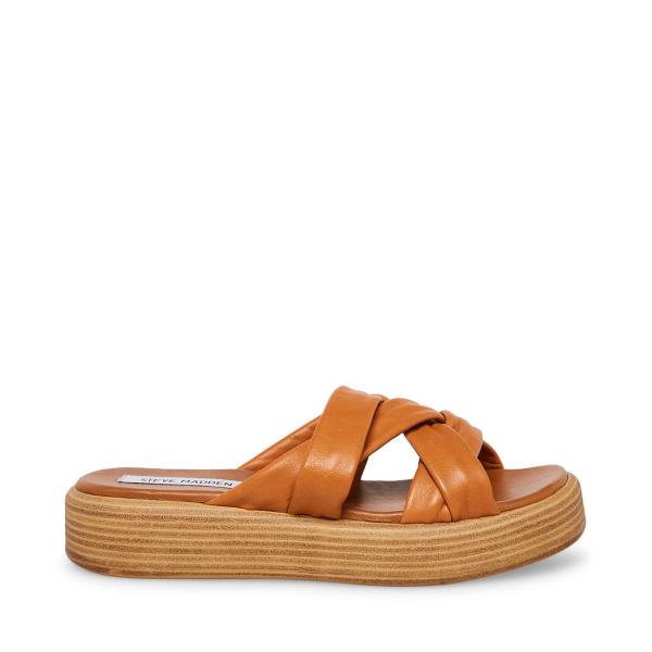 Sandały Damskie Steve Madden Salita Tan Skórzane Brązowe | SM-397GM