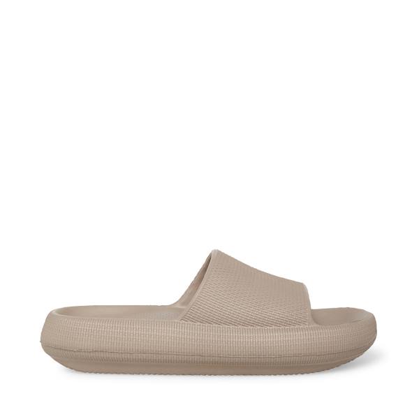 Sandały Damskie Steve Madden Scuba Taupe Szare Brązowe | SM-543YD