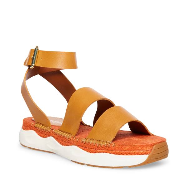 Sandały Damskie Steve Madden Springs Tan Paris Brązowe | SM-498XE