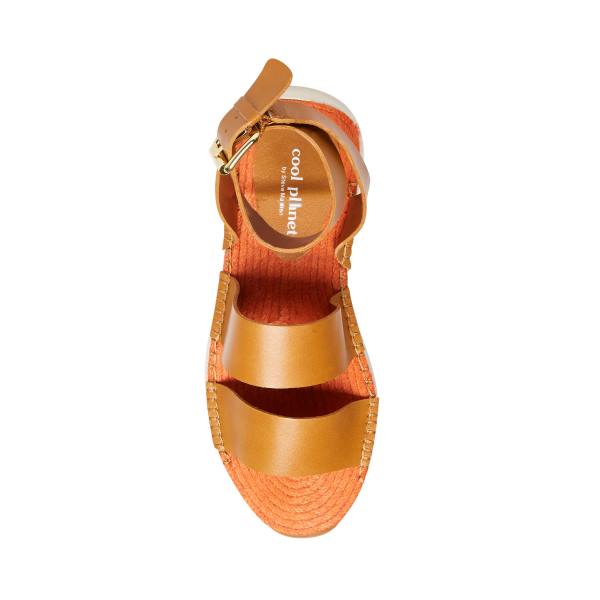 Sandały Damskie Steve Madden Springs Tan Paris Brązowe | SM-498XE