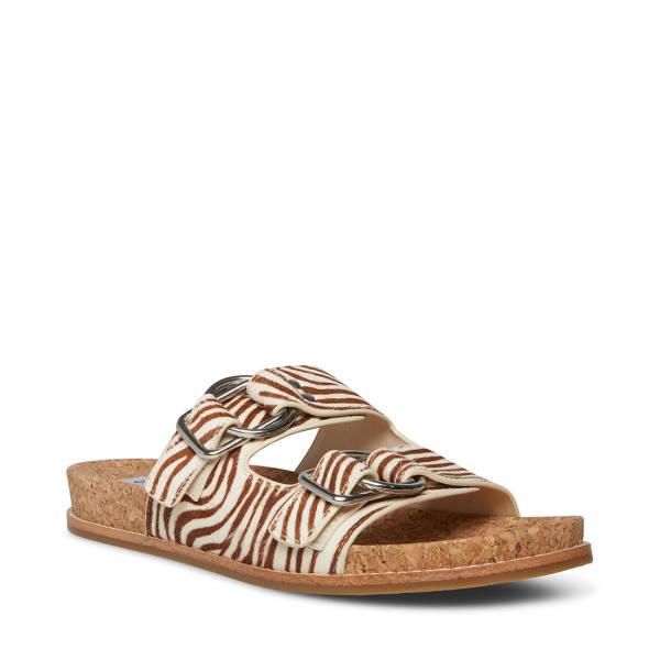 Sandały Damskie Steve Madden Zeya Tiger | SM-134KP