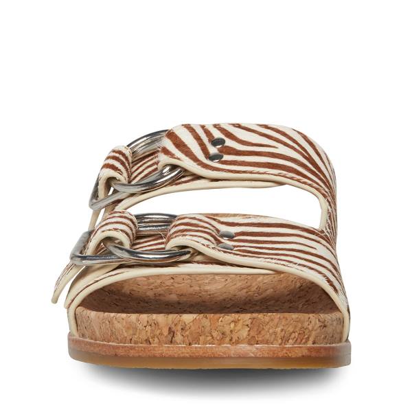 Sandały Damskie Steve Madden Zeya Tiger | SM-134KP