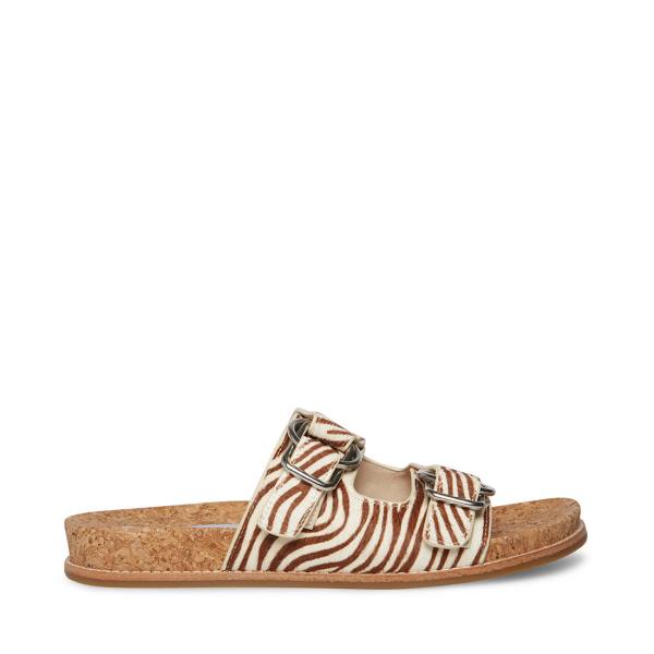 Sandały Damskie Steve Madden Zeya Tiger | SM-134KP