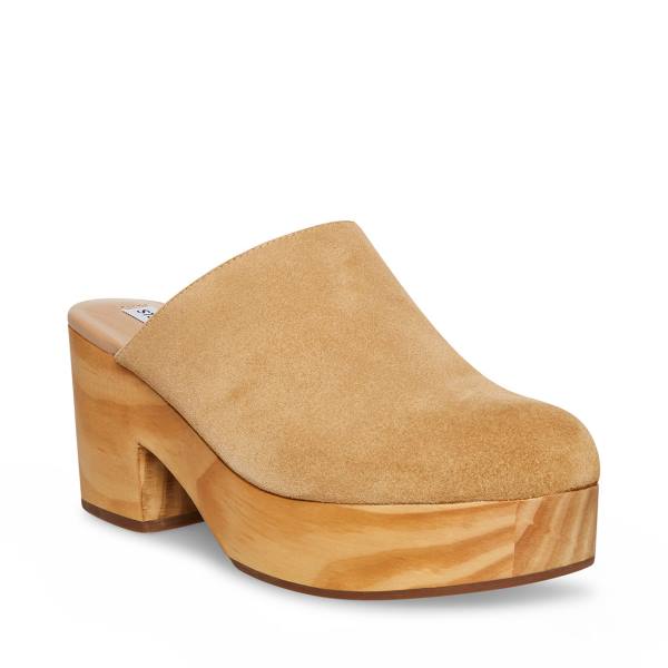 Szpilki Damskie Steve Madden Bayridge Taupe Zamszowe Heel Szare Brązowe | SM-936GC