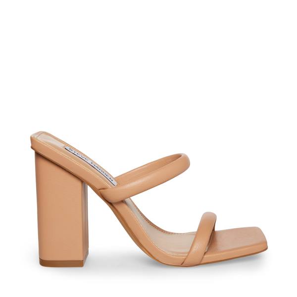 Szpilki Damskie Steve Madden Blake Tan Heel Brązowe | SM-951NW