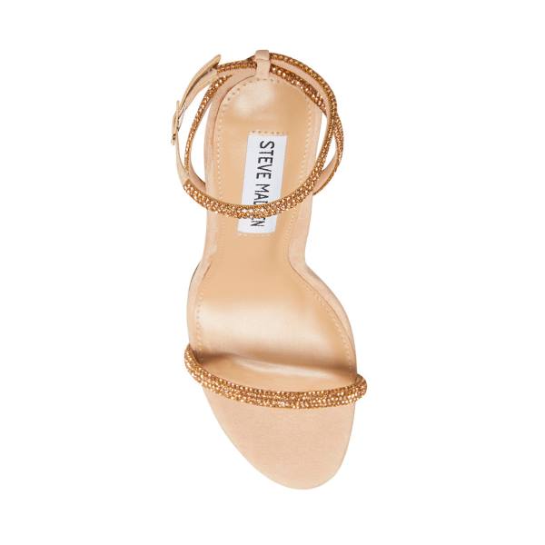 Szpilki Damskie Steve Madden Breslin Blush Heel Różowe | SM-341VX