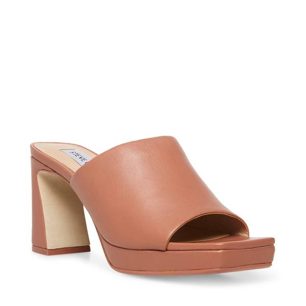 Szpilki Damskie Steve Madden Dedicate Blush Skórzane Heel Różowe | SM-479TV