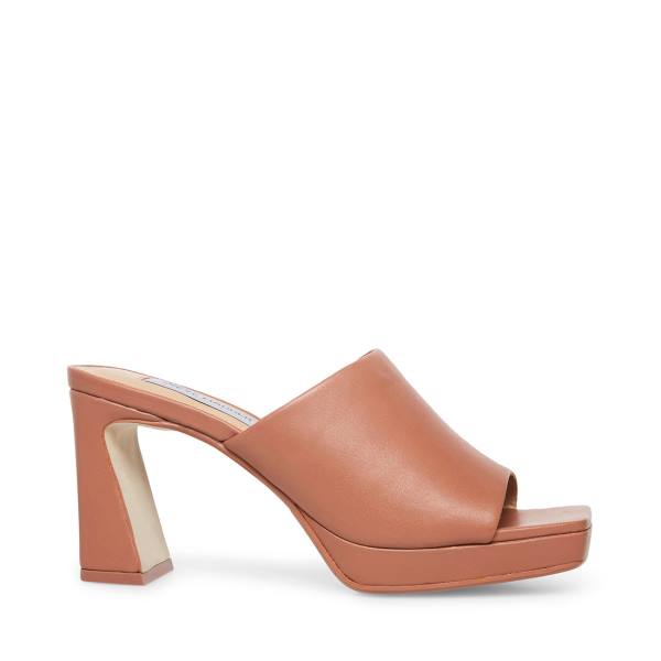 Szpilki Damskie Steve Madden Dedicate Blush Skórzane Heel Różowe | SM-479TV