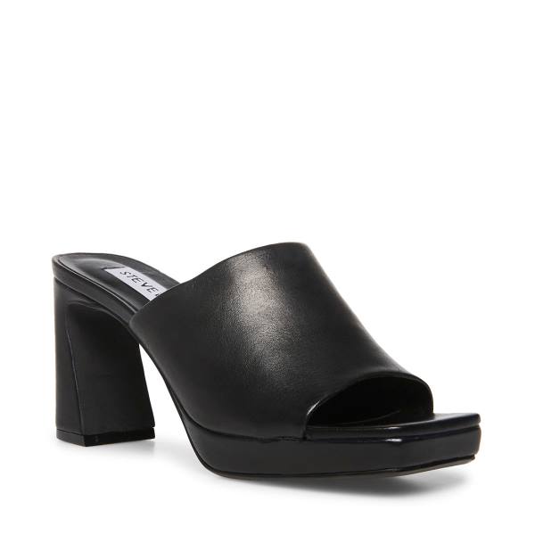 Szpilki Damskie Steve Madden Dedicate Skórzane Heel Czarne | SM-182AY