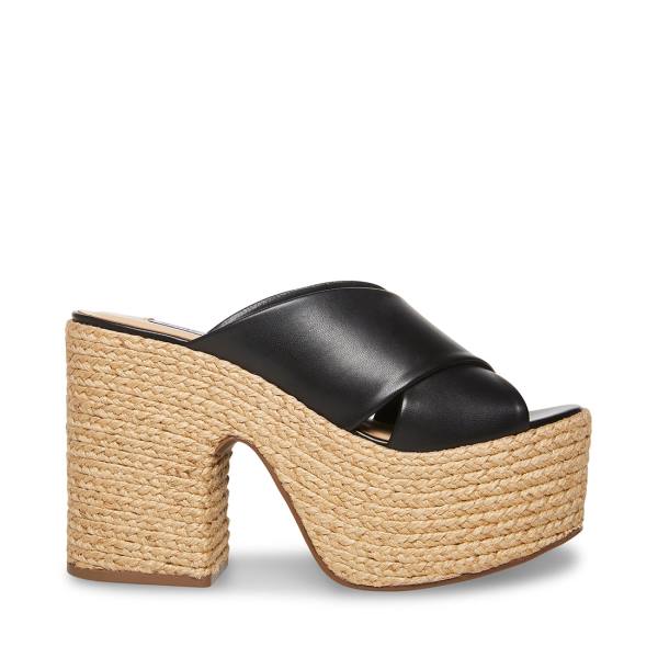 Szpilki Damskie Steve Madden Elzie Heel Czarne | SM-381GQ