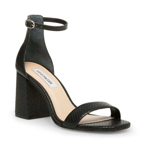 Szpilki Damskie Steve Madden Gracelynn Snake Heel Czarne Wąż | SM-462UR