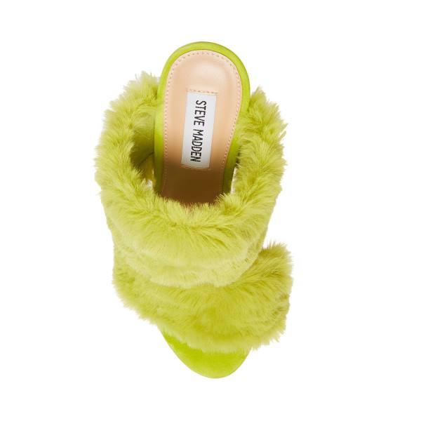 Szpilki Damskie Steve Madden Kaila Lime Heel Głęboka Zielone | SM-743FT