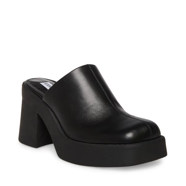 Szpilki Damskie Steve Madden Kam Skórzane Heel Czarne | SM-173GH