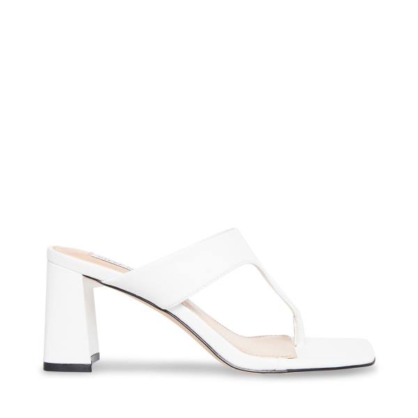 Szpilki Damskie Steve Madden Lamorna Heel Białe | SM-514FL