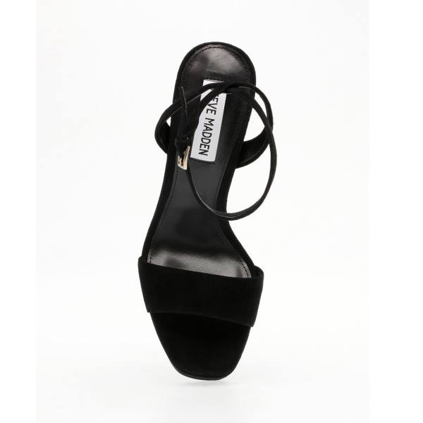 Szpilki Damskie Steve Madden Lessa Zamszowe Heel Czarne | SM-254OC