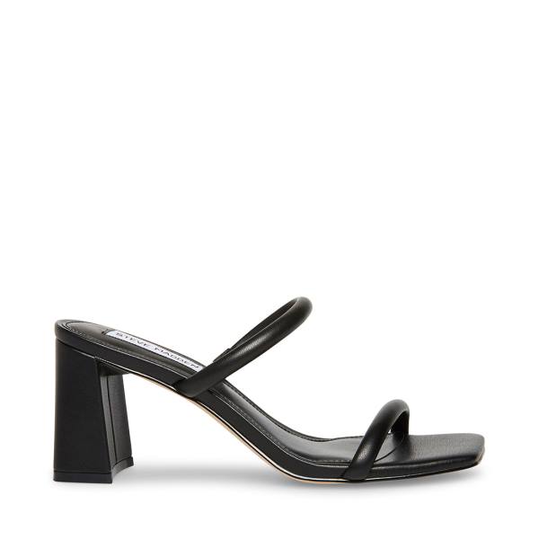 Szpilki Damskie Steve Madden Lilah Heel Czarne | SM-763QX