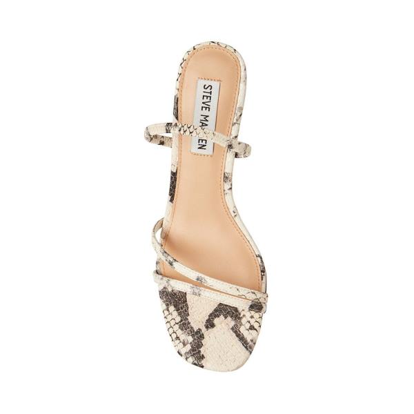 Szpilki Damskie Steve Madden Loft Snake Heel Beżowe Wąż | SM-259LU