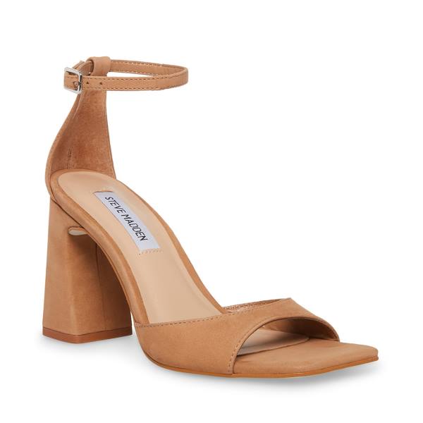 Szpilki Damskie Steve Madden Margot Camel Nubuck Heel Brązowe | SM-653RO