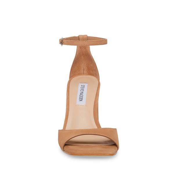 Szpilki Damskie Steve Madden Margot Camel Nubuck Heel Brązowe | SM-653RO