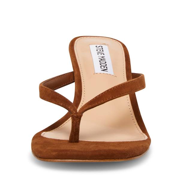 Szpilki Damskie Steve Madden Melrose Chestnut Zamszowe Heel Brązowe | SM-091ZI