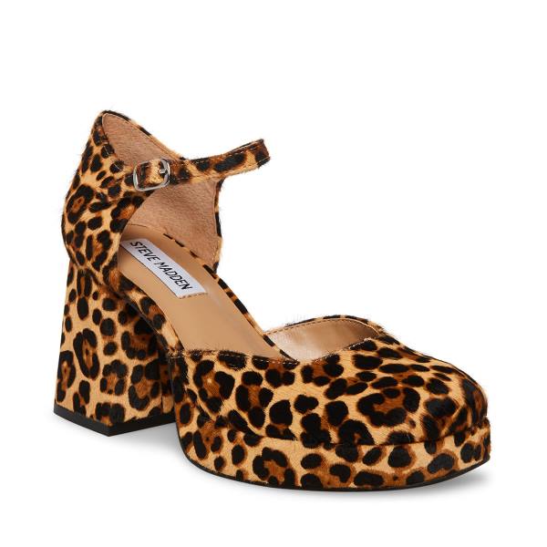 Szpilki Damskie Steve Madden Mimi-l Leopard Heel Panterka | SM-549KV