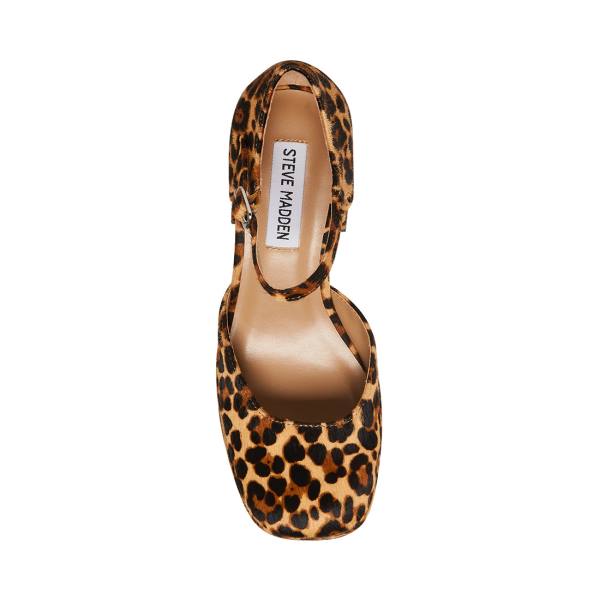 Szpilki Damskie Steve Madden Mimi-l Leopard Heel Panterka | SM-549KV