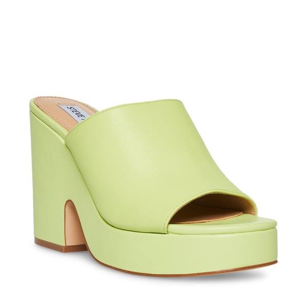 Szpilki Damskie Steve Madden Sally Lime Heel Głęboka Zielone | SM-467FO