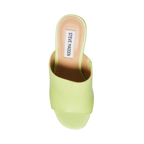 Szpilki Damskie Steve Madden Sally Lime Heel Głęboka Zielone | SM-467FO