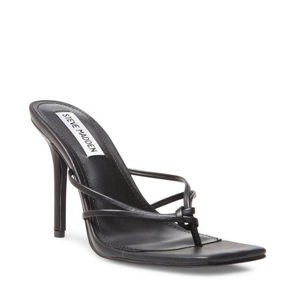 Szpilki Damskie Steve Madden Scored Heel Czarne | SM-582EN