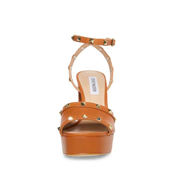 Szpilki Damskie Steve Madden Tabari Cognac Skórzane Heel Brązowe | SM-023SZ